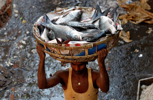 مردی با سبد ماهی در بازار هند - اسپوتنیک ایران  