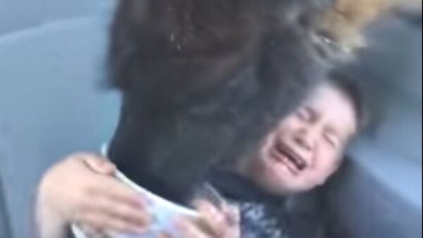 حمله لامای گرسنه به کودک در پارک وحشت آفریقا (ویدئو) - اسپوتنیک ایران  