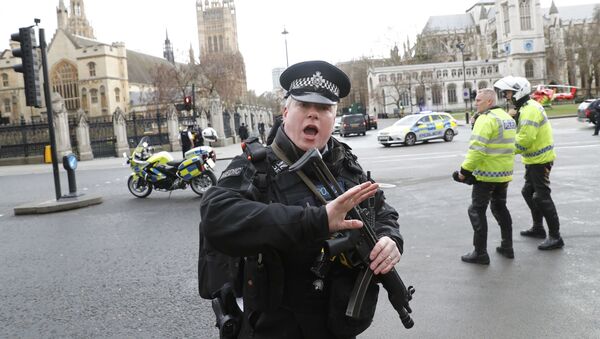 Полицейский у здания парламента в Лондоне, где произошла стрельба - اسپوتنیک ایران  