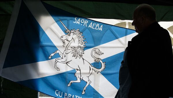 Участник марша в Эдинбурге за независимость Шотландии. Архивное фото - اسپوتنیک ایران  