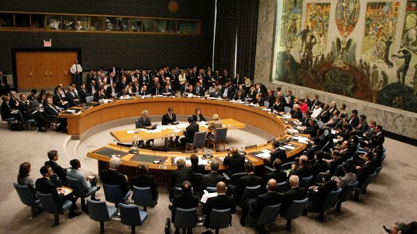 Во время саммита государств – членов Совета Безопасности ООН - اسپوتنیک ایران  