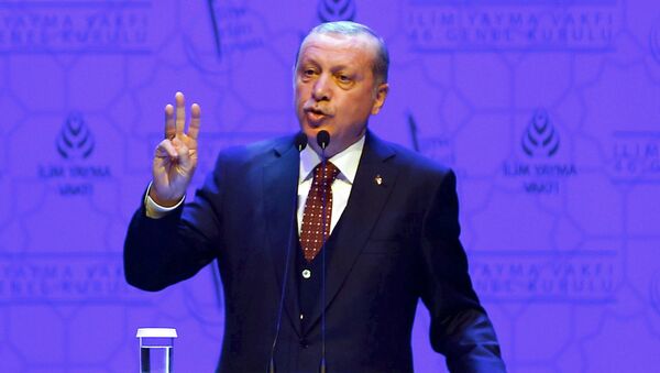 اردوغان : آمریکا، روسیه و کردستان عراق از حمله ترکیه آگاه بودند - اسپوتنیک ایران  