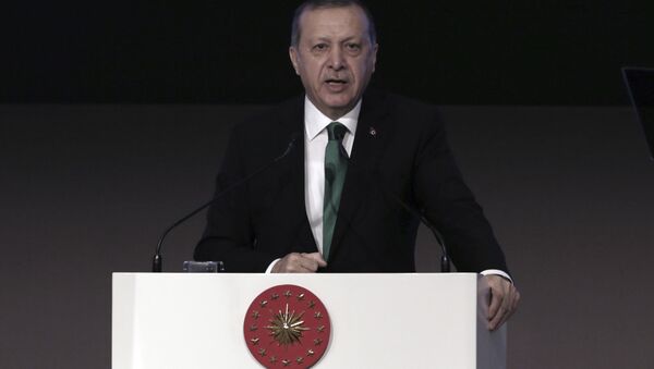 اردوغان مخالف برگزاری همه پرسی استقلال کردستان عراق - اسپوتنیک ایران  