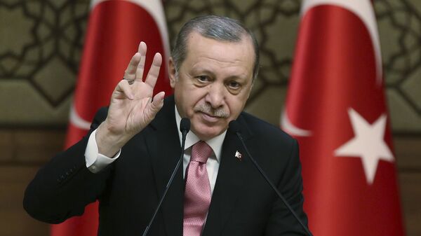 خوشحالی اردوغان از خروج آمریکا از سوریه - اسپوتنیک ایران  
