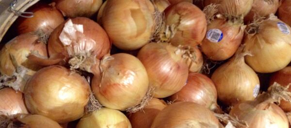 پیاز پیاز - اسپوتنیک ایران