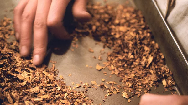 هشدار به ایرانیان : چرا نباید طلای آبشده خرید؟ - اسپوتنیک ایران  