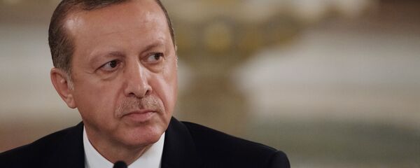 آمادگی ترکیه برای از سرگیری عملیات در سوریه - اسپوتنیک ایران  