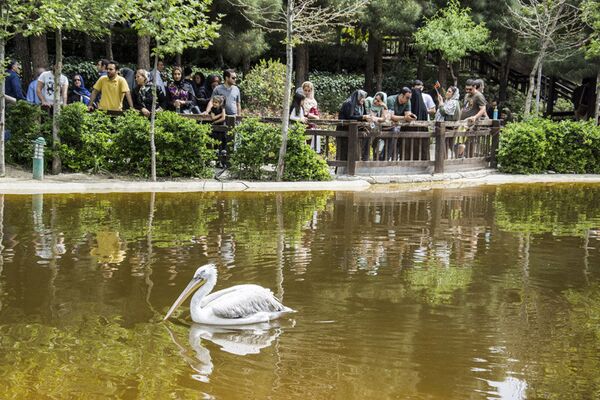 باغ پرندگان تهران - اسپوتنیک ایران  