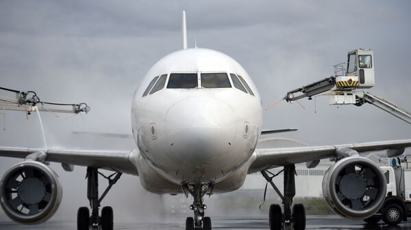 Разморозка самолета в аэропорту - اسپوتنیک ایران  