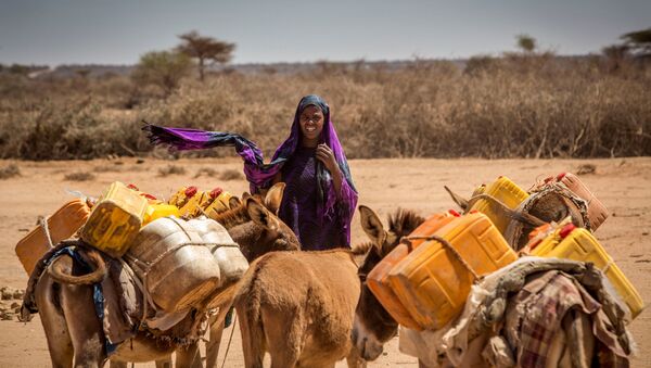 Женщина с ослами, везущими пустые канистры для воды, в Сомали - اسپوتنیک ایران  