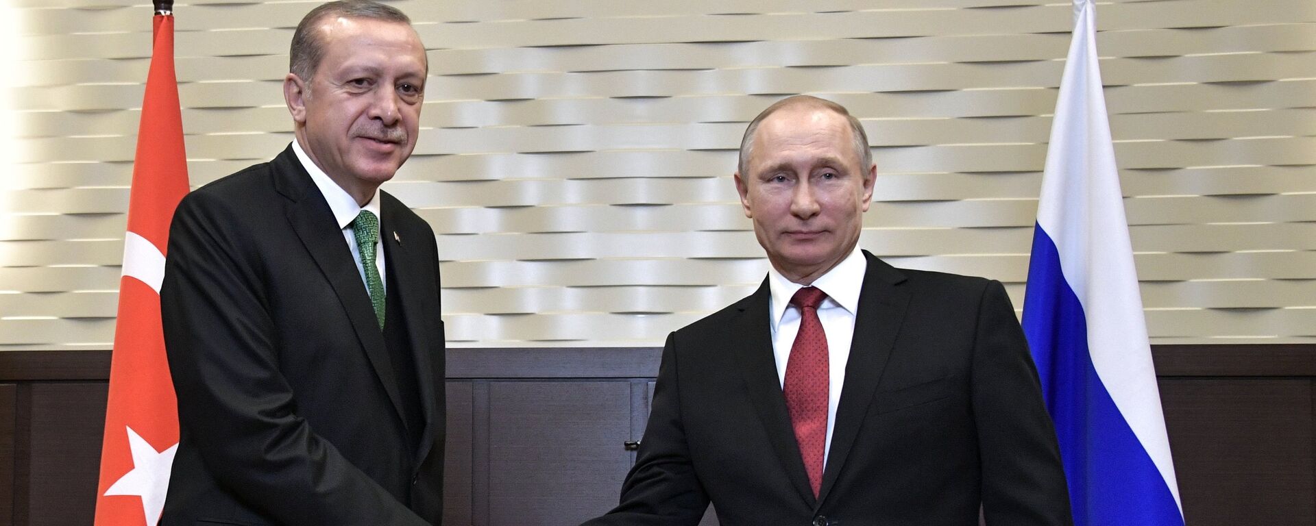 پوتین و اردوغان پس از مذاکرات بیانیه مشترکی را صادر کردند - اسپوتنیک ایران  , 1920, 05.08.2022