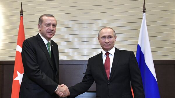 پوتین: روسیه 22 میلیارد دلار در ساخت نیروگاه هسته ای اکویو در ترکیه سرمایه گذاری می کند - اسپوتنیک ایران  