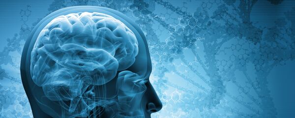 کشف روشی برای بهبود حافظه مردان کشف روشی برای بهبود حافظه مردان - اسپوتنیک ایران