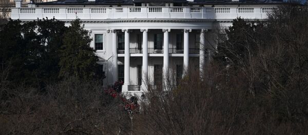 کابینه ترامپ در فکر برکناری او طبق متمم 25 قانون اساسی امریکا  است - اسپوتنیک ایران  