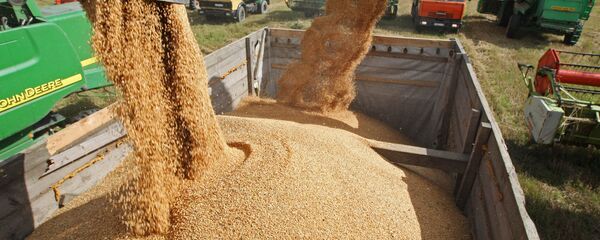 Уборка урожая зерновых в Калининградской области - اسپوتنیک ایران  