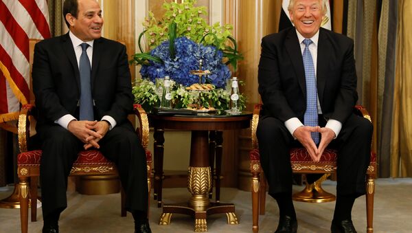 ABD Başkanı Donald Trump - Mısır Cumhurbaşkanı Abdülfettah Sisi - اسپوتنیک ایران  