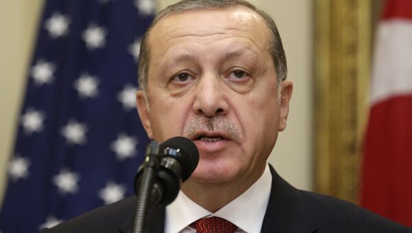 رجب طیب اردوغان، رئیس جمهور ترکیه - اسپوتنیک ایران  