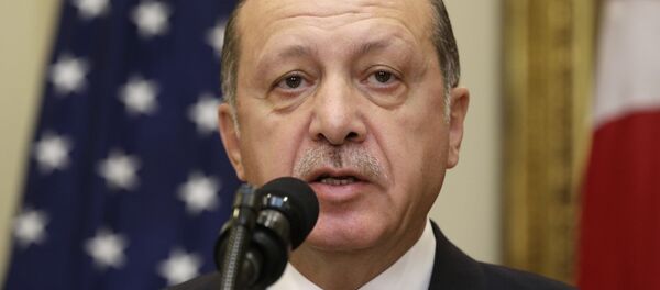 رجب طیب اردوغان، رئیس جمهور ترکیه - اسپوتنیک ایران  