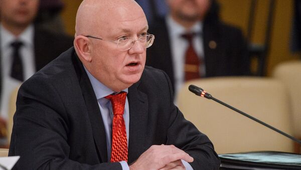 نامزدی نماینده دائم جدید روسیه در سازمان ملل متحد تایید شد - اسپوتنیک ایران  