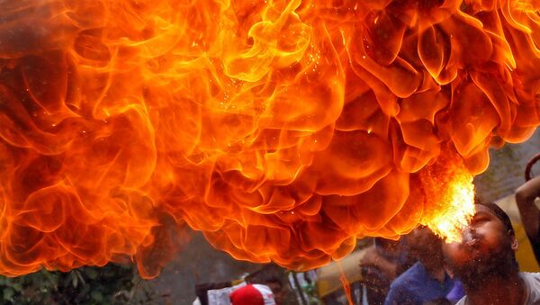 تصویر تاثیرگذار گنجشکی که در آتش سوزی هم جوجه های خود را تنها نگذاشت(عکس) - اسپوتنیک ایران  