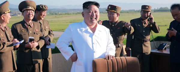 صندلی که رهبر کره شمالی بر روی آن نشسته بود به موزه تبدیل شد+عکس صندلی که رهبر کره شمالی بر روی آن نشسته بود به موزه تبدیل شد+عکس - اسپوتنیک ایران