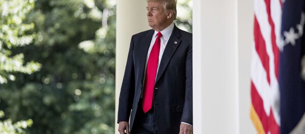 ظاهرا کم کم چراغ به دست باید دنبال ترامپ بگردیم - اسپوتنیک ایران  