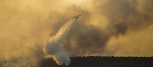 آتش سوزی وسیع در نیزارهای تالاب میقان + عکس - اسپوتنیک ایران  