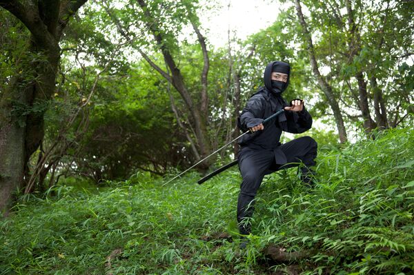 نینجا نینجا - اسپوتنیک ایران