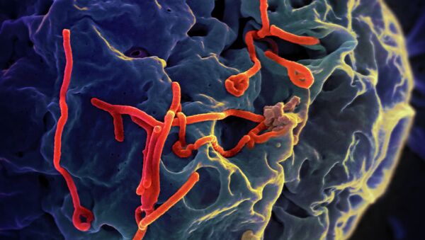 دو نفر بر اثر آنفولانزا در گیلان جان باختند - اسپوتنیک ایران  