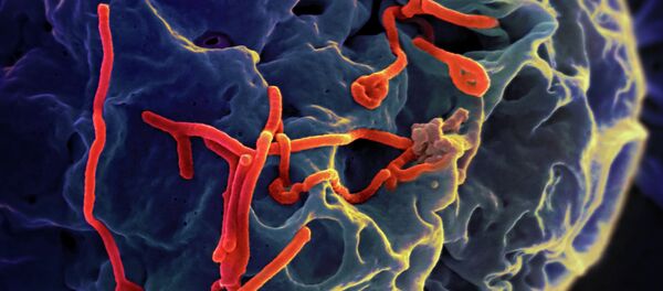 دو نفر بر اثر آنفولانزا در گیلان جان باختند - اسپوتنیک ایران  