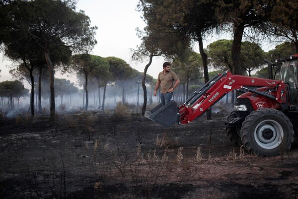 کمک نمودن مردی سوار بر تراکتور، جهت خاموش نمودن آتش سوزی در جنگل های اسپانیا - اسپوتنیک ایران  