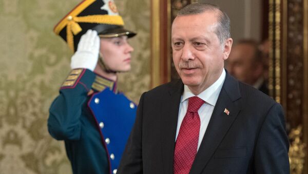 دیدار پیش بینی نشده اردوغان با شایگو در استانبول - اسپوتنیک ایران  