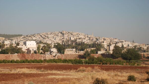 Вид сирийского города Африн. Архивное фото - اسپوتنیک ایران  