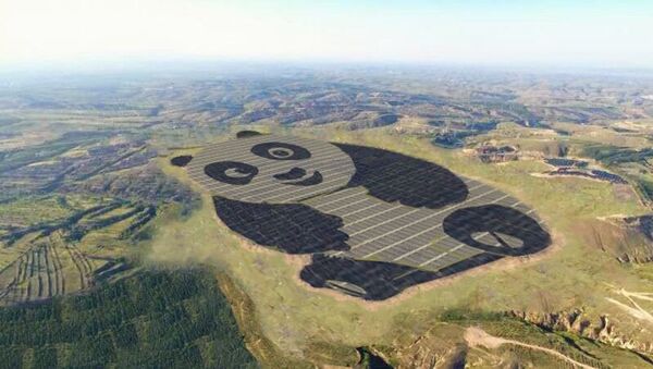 Солнечная электростанция в форме панды в Китае - اسپوتنیک ایران  