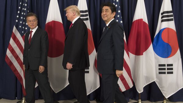 Президент Южной Кореи Мун Джэин, президент США Дональд Трамп и премьер-министр Японии Синдзо Абэ на совместных переговорах в Гамбурге, Германия - اسپوتنیک ایران  