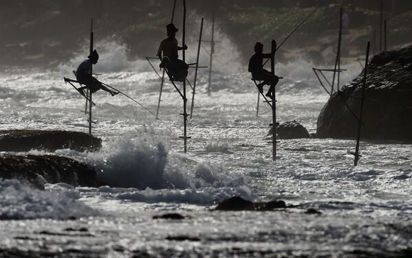 ماهیگیران حین ماهیگیری در شهر گالی سری لانکلا - اسپوتنیک ایران  