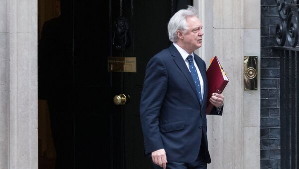 Министр по вопросам выхода из ЕС Дэвид Дэвис у резиденции главы правительства Великобритании на Даунинг-стрит, 10 выхода Великобритании из ЕС - اسپوتنیک ایران  