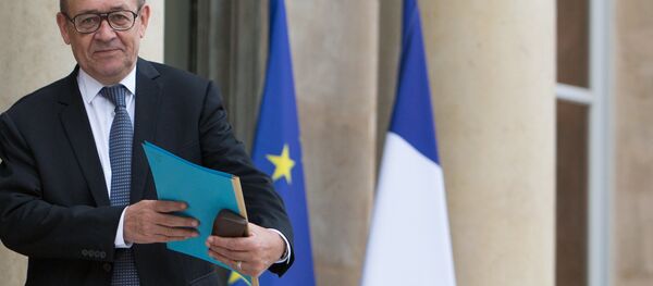 فرانسه: سیستم تجاری مخصوص ایران ایجاد می شود - اسپوتنیک ایران  