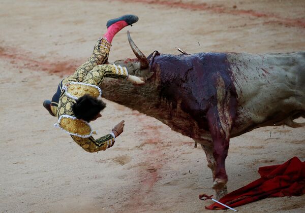 گاوباز هنگام مبارزه با گاو نر در  فستیوال سان فرمین در پامپلون اسپانیا - اسپوتنیک ایران  