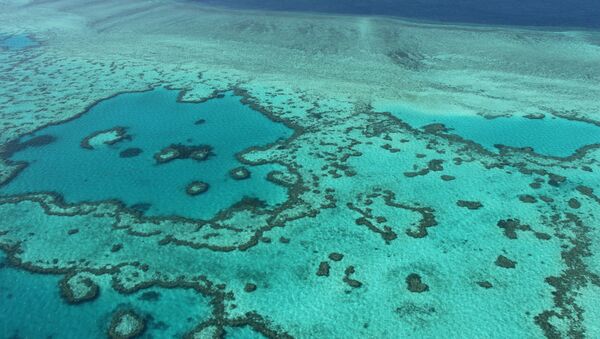 Большой барьерный риф Австралии в районе архипелага Уитсанди - اسپوتنیک ایران  
