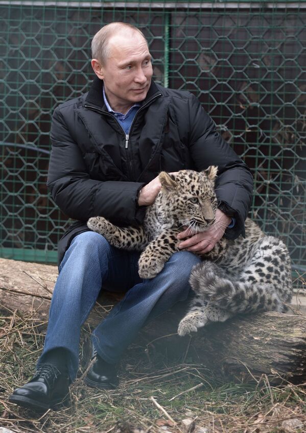 ولادیمیر پوتین رئیس جمهور روسیه در بازدید از مرکز توانبخشی پلنگ در سوچی - اسپوتنیک ایران  