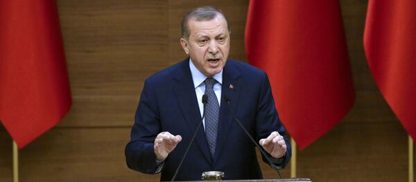 ترکیه تسلیم نخواهد شد - اسپوتنیک ایران  