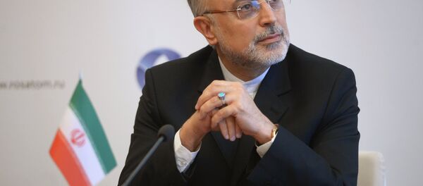 صالحی: ایران آماده راه اندازی رآکتور قبلی است - اسپوتنیک ایران  