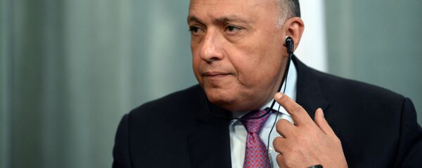 مخالفت مصر با حضور ترکیه در سوریه  - اسپوتنیک ایران  