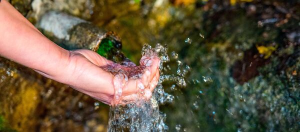 Минеральные источники в Южной Осетии - اسپوتنیک ایران  