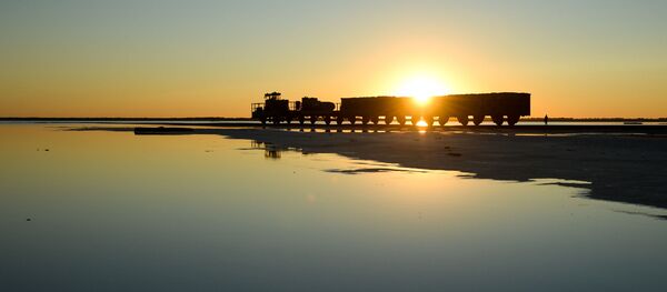بازدید مدیران منطقه آلتای روسیه از ایران - اسپوتنیک ایران  