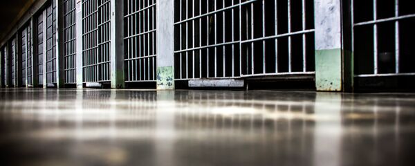 شهروند ایرانی به دلیل همدستی در انتقال فن آوری به ایران در آمریکا به زندان محکوم شد شهروند ایرانی به دلیل همدستی در انتقال فن آوری به ایران در آمریکا به زندان محکوم شد - اسپوتنیک ایران