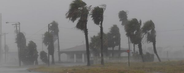 طوفان مراسم عروسی را برهم زد+ ویدیو - اسپوتنیک ایران  