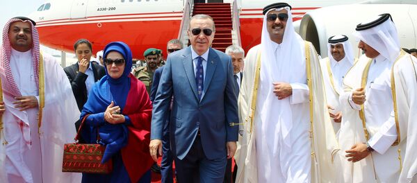 ایران و ترکیه – ناجی جان قطر ایران و ترکیه – ناجی جان قطر - اسپوتنیک ایران