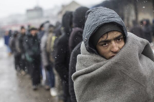 عکس برتر از مجموعه پناهندگان در بلگراد - اسپوتنیک ایران  